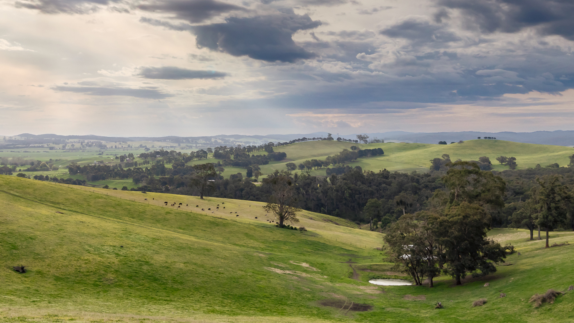 Tambo Upper farming landscape