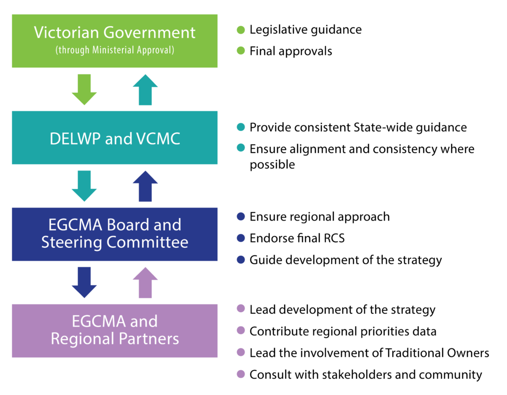 RCS Governance diagram